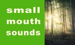 Small Mouth Sounds at KOA Theater